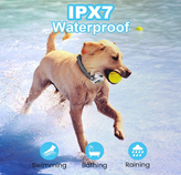 قلاده ضد پارس سگ برند Petking دوگانه (آلارم صدا و ویبره)